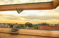 rated Sharpness roof window companies